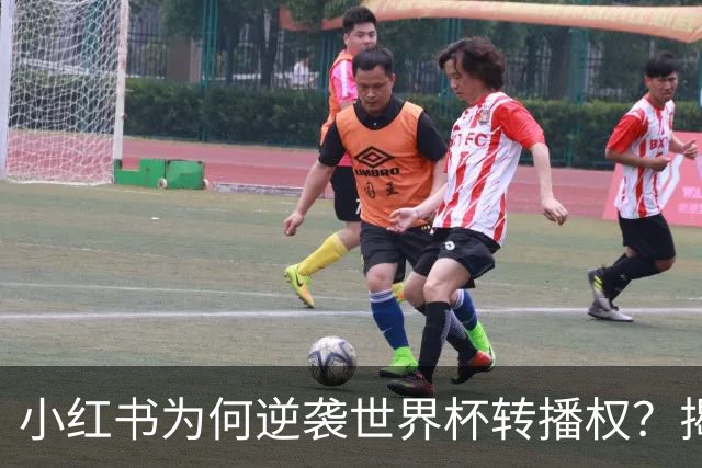 小红书为何逆袭世界杯转播权？揭开背后的战略与挑战