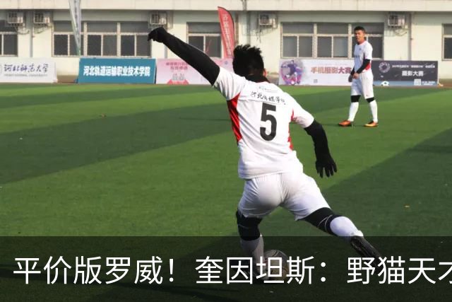 平价版罗威！奎因坦斯：野猫天才内线 存伤病隐患 罚球致敬米切罗