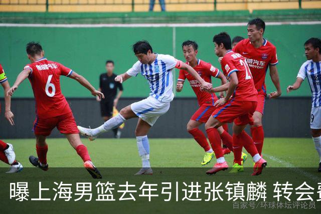 曝上海男篮去年引进张镇麟 转会费投入超5000万