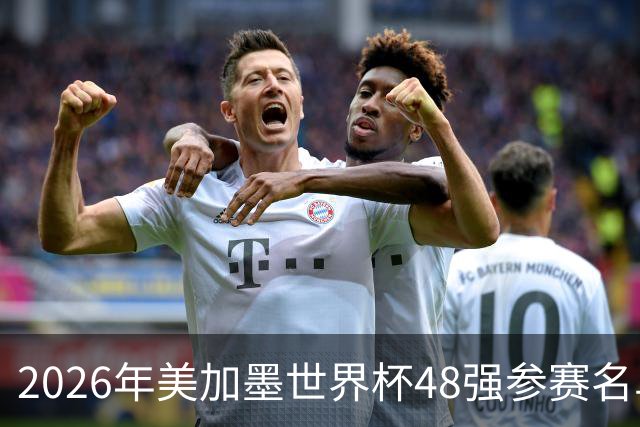 2026年美加墨世界杯48强参赛名单汇总